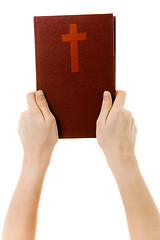 Image showing on a white background hands holding a bible