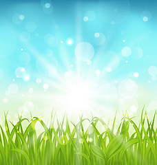 Image showing Spring nature background with grass