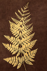 Image showing Gold Fern 