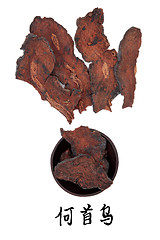 Image showing Fleeceflower Root