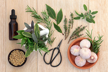 Image showing Herbal Medicine