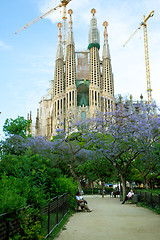 Image showing La Sagrada Familia 2013