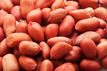 Image showing Peanuts