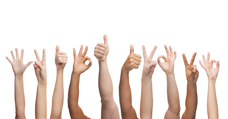 Image showing human hands showing thumbs up, ok and peace signs