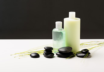 Image showing shampoo bottle, massage stones and green plant