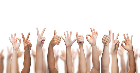 Image showing human hands showing thumbs up, ok and peace signs