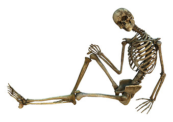 Image showing Smiling Skeleton