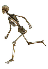 Image showing Running Skeleton