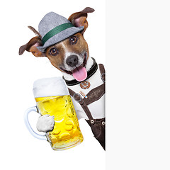 Image showing oktoberfest dog