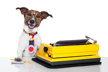 Image showing business dog typewriter