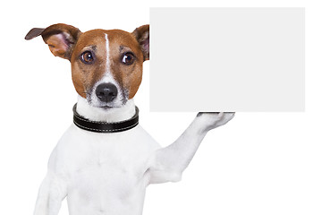 Image showing copy space placard dog