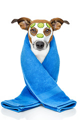 Image showing dog with a beauty mask