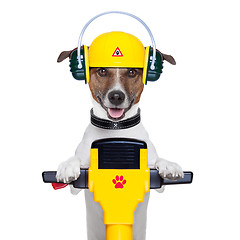 Image showing handyman dog worker