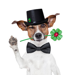 Image showing chimney sweeper dog 