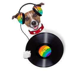 Image showing dj dog