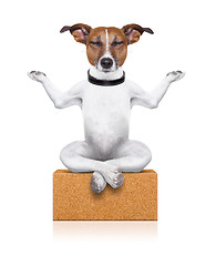 Image showing yoga dog