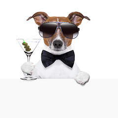 Image showing funny cocktail dog banner