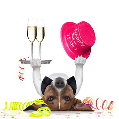 Image showing new years eve dog