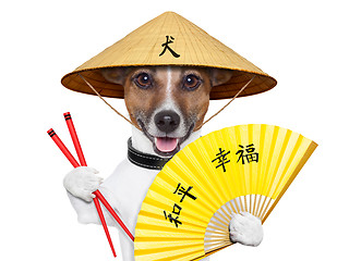 Image showing asian dog 