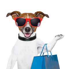 Image showing shopping dog