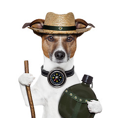 Image showing hike compass hat dog 