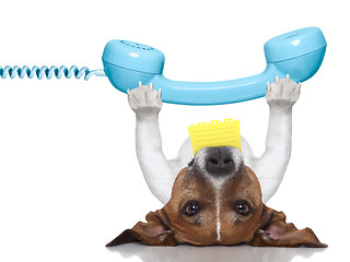 Image showing dog telephone