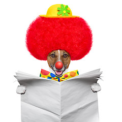 Image showing clown dog with red wig and hat