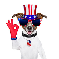 Image showing usa american dog 