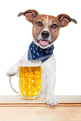 Image showing drunk dog with beer