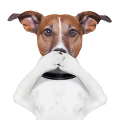 Image showing covering mouth dog 