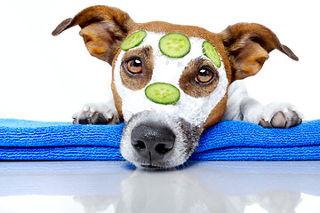 Image showing dog with a beauty mask