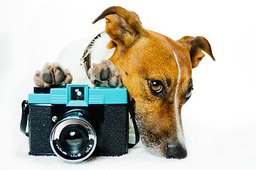 Image showing dog photo camera