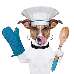 Image showing dog cook chef 