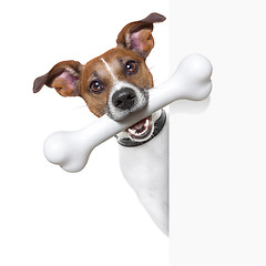 Image showing dog with big bone 