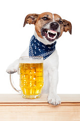 Image showing drunk dog with beer