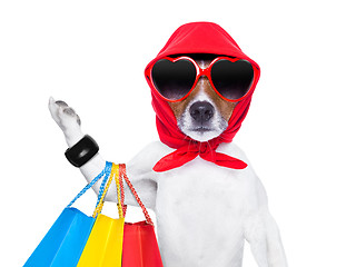 Image showing shopaholic diva dog