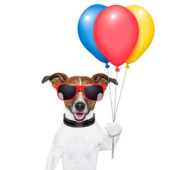 Image showing dog balloons and cotton candy