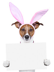 Image showing  funny easter dog with blank space