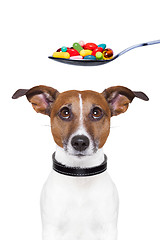 Image showing dog pills diet