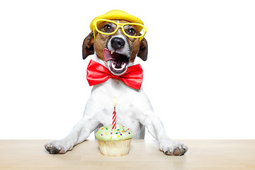 Image showing birthday dog cupcake