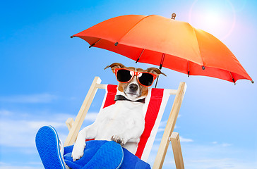 Image showing dog sunbathing 