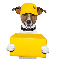 Image showing dog delivery post