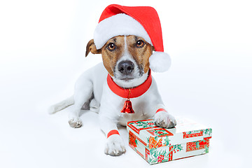 Image showing christmas dog santa