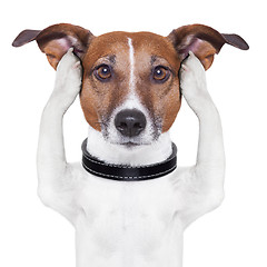 Image showing covering ears dog