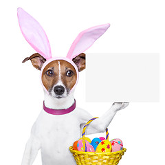 Image showing  funny easter dog