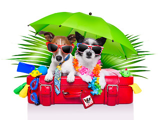 Image showing holiday dogs