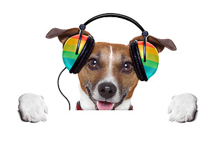 Image showing music dog