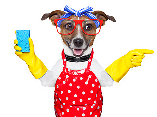 Image showing housewife dog 