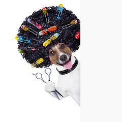 Image showing hairdresser   dog 