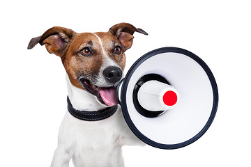 Image showing dog megaphone